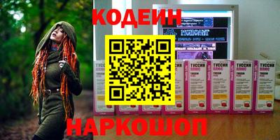 мдпв Камышлов